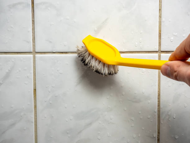 Mold Testing and Removal in Miramar Beach, FL